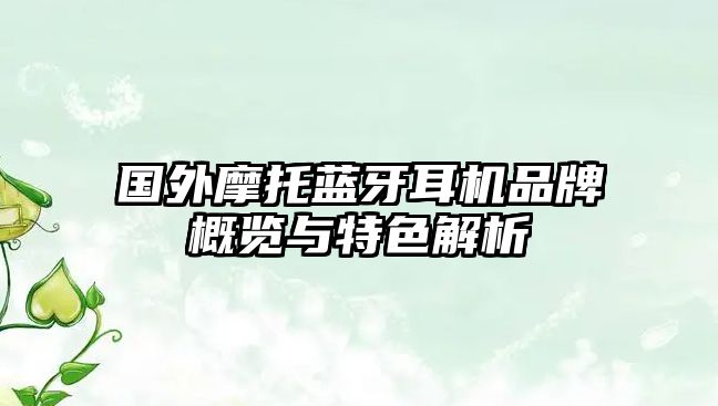 國外摩托藍(lán)牙耳機(jī)品牌概覽與特色解析