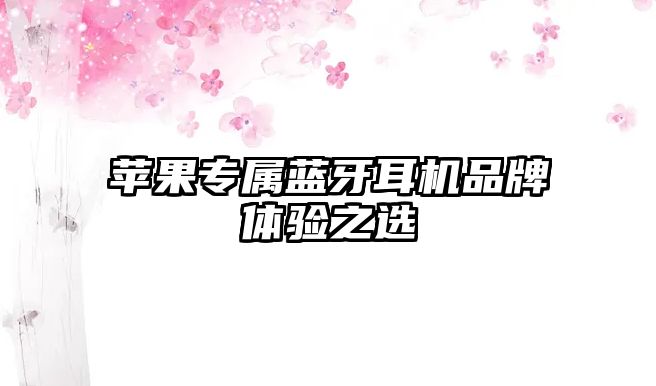 蘋果專屬藍(lán)牙耳機品牌體驗之選