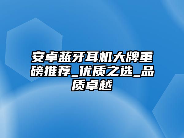 安卓藍牙耳機大牌重磅推薦_優(yōu)質(zhì)之選_品質(zhì)卓越