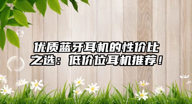 優(yōu)質(zhì)藍(lán)牙耳機(jī)的性價(jià)比之選：低價(jià)位耳機(jī)推薦！