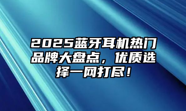 2025藍(lán)牙耳機(jī)熱門品牌大盤點(diǎn)，優(yōu)質(zhì)選擇一網(wǎng)打盡！
