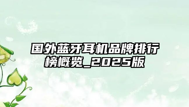 國外藍牙耳機品牌排行榜概覽_2025版