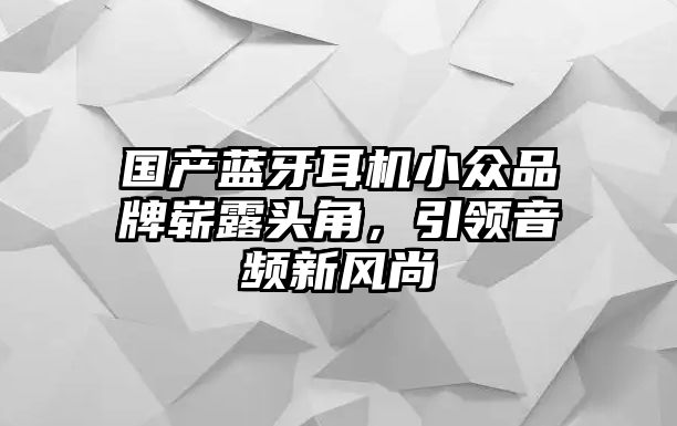 國產(chǎn)藍牙耳機小眾品牌嶄露頭角,引領(lǐng)音頻新風尚