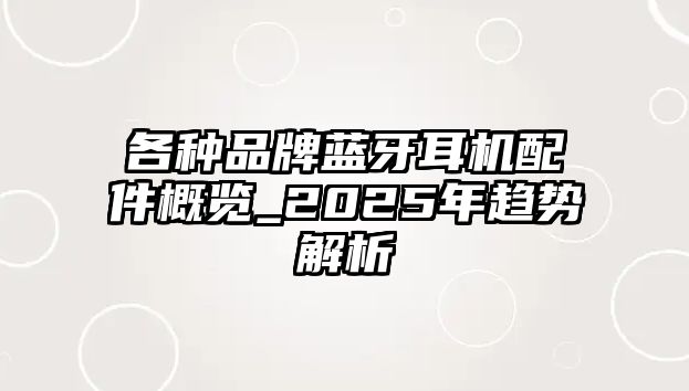 各種品牌藍(lán)牙耳機(jī)配件概覽_2025年趨勢解析