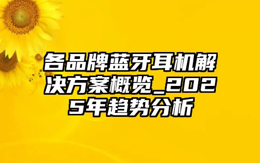 各品牌藍(lán)牙耳機(jī)解決方案概覽_2025年趨勢(shì)分析