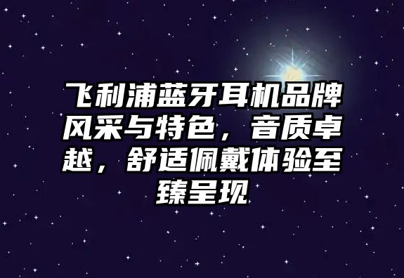 飛利浦藍(lán)牙耳機(jī)品牌風(fēng)采與特色，音質(zhì)卓越，舒適佩戴體驗(yàn)至臻呈現(xiàn)
