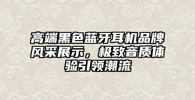 高端黑色藍(lán)牙耳機(jī)品牌風(fēng)采展示，極致音質(zhì)體驗(yàn)引領(lǐng)潮流