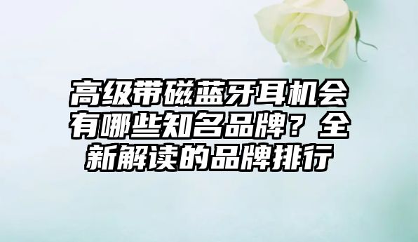 高級(jí)帶磁藍(lán)牙耳機(jī)會(huì)有哪些知名品牌？全新解讀的品牌排行
