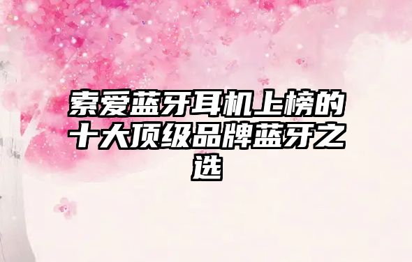 索愛藍(lán)牙耳機(jī)上榜的十大頂級(jí)品牌藍(lán)牙之選