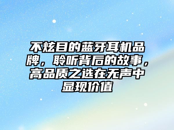 不炫目的藍(lán)牙耳機(jī)品牌，聆聽背后的故事，高品質(zhì)之選在無聲中顯現(xiàn)價(jià)值