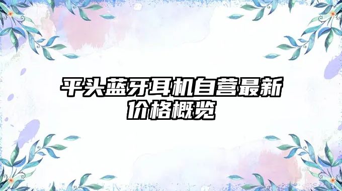 平頭藍牙耳機自營最新價格概覽