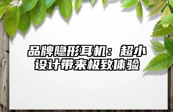 品牌隱形耳機：超小設(shè)計帶來極致體驗
