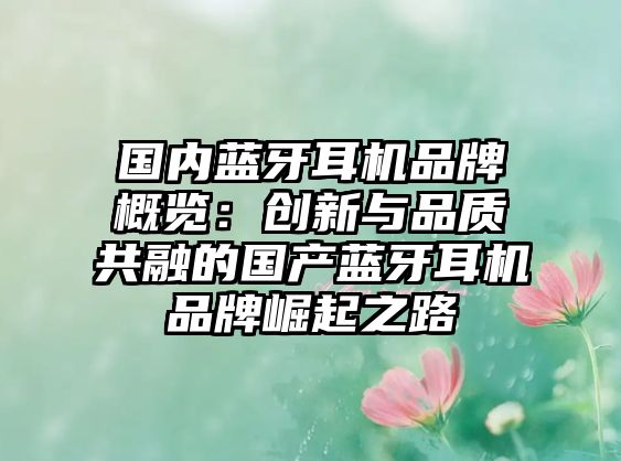 國內(nèi)藍牙耳機品牌概覽：創(chuàng)新與品質(zhì)共融的國產(chǎn)藍牙耳機品牌崛起之路