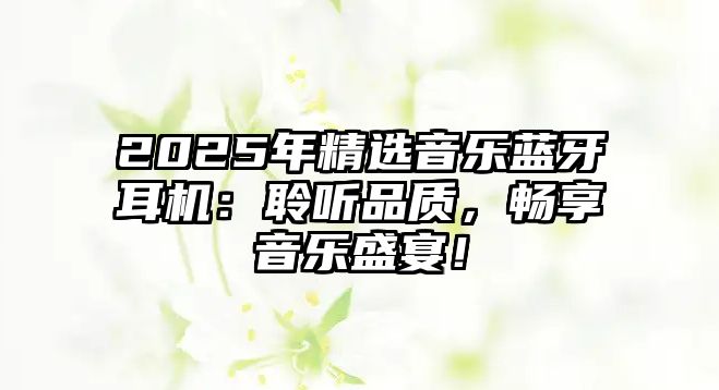 2025年精選音樂藍(lán)牙耳機(jī)：聆聽品質(zhì)，暢享音樂盛宴！