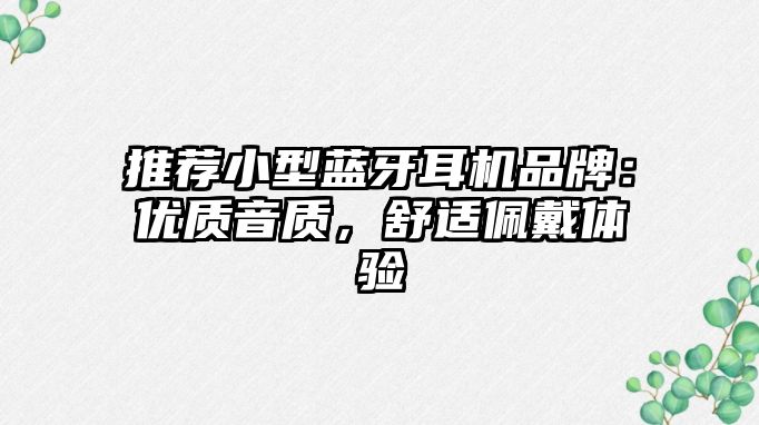 推薦小型藍(lán)牙耳機(jī)品牌：優(yōu)質(zhì)音質(zhì)，舒適佩戴體驗(yàn)