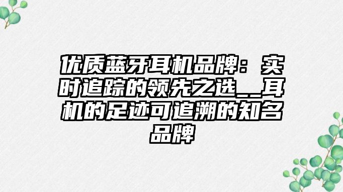 優(yōu)質(zhì)藍(lán)牙耳機(jī)品牌：實(shí)時追蹤的領(lǐng)先之選__耳機(jī)的足跡可追溯的知名品牌