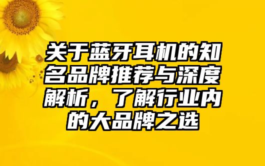 關(guān)于藍(lán)牙耳機(jī)的知名品牌推薦與深度解析，了解行業(yè)內(nèi)的大品牌之選