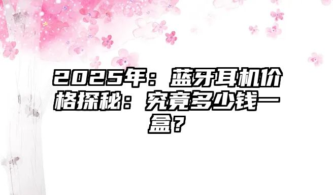 2025年：藍(lán)牙耳機(jī)價(jià)格探秘：究竟多少錢一盒？