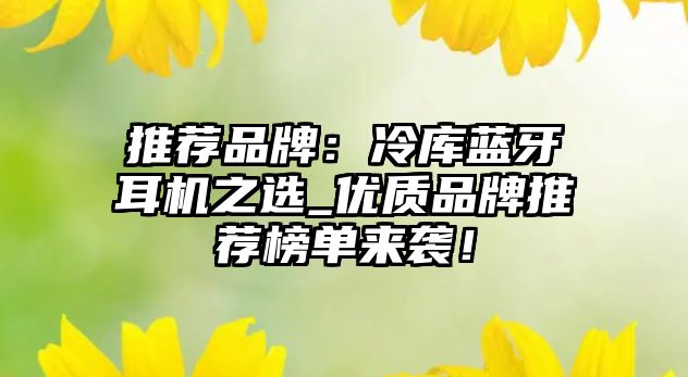 推薦品牌：冷庫藍(lán)牙耳機(jī)之選_優(yōu)質(zhì)品牌推薦榜單來襲！